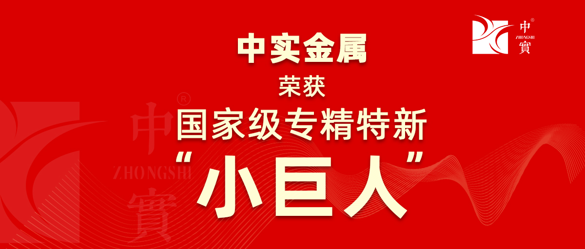 【喜訊】中實金屬獲評爲廣東省第六批專精特新“小巨人”企業